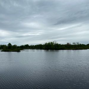 Meet your Posher, Chad